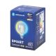 LED Spuldze FILAMENT G125 E27/6W/230V 2700-6500K - Aigostar