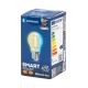 LED Spuldze FILAMENT G45 E27/4,5W/230V 2700-6500K - Aigostar