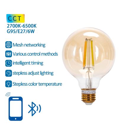 LED Spuldze FILAMENT G95 E27/6W/230V 2700-6500K - Aigostar