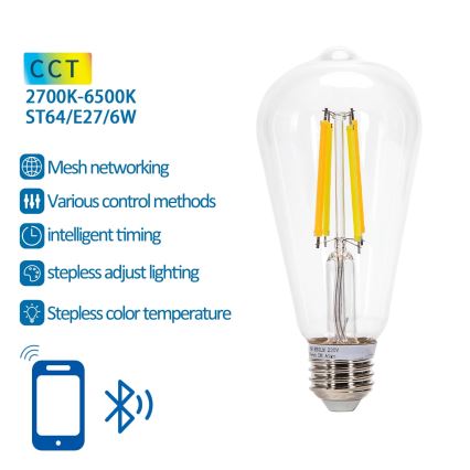 LED Spuldze FILAMENT ST64 E27/6W/230V 2700-6500K - Aigostar