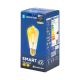 LED Spuldze FILAMENT ST64 E27/6W/230V 2700-6500K - Aigostar