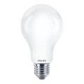 LED Spuldze Philips A67 E27/17,5W/230V 2700K