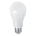 LED Spuldze PITT A60 AC/DC E27/12W/24V 4000K