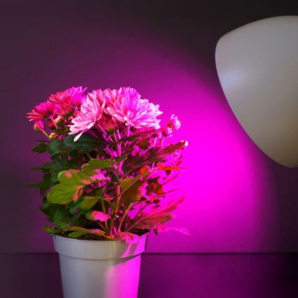 LED Spuldze stādu audzēšanai PLANTY E27/11W/230V 1200K balta