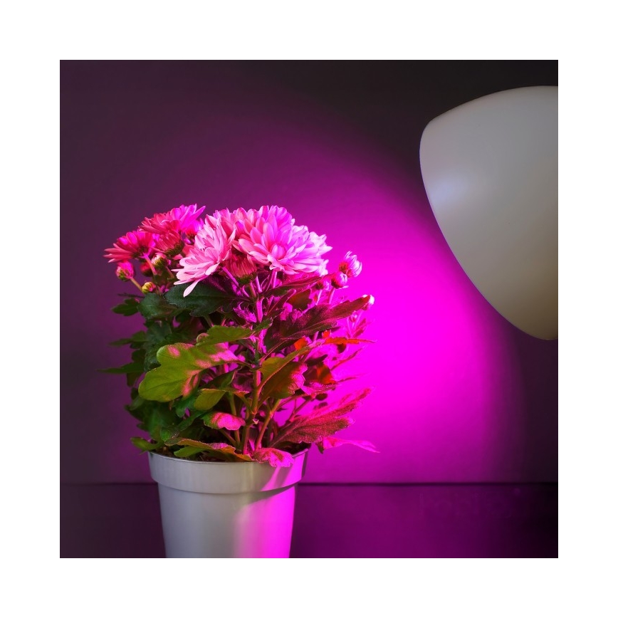 LED Spuldze stādu audzēšanai PLANTY E27/11W/230V 1200K balta