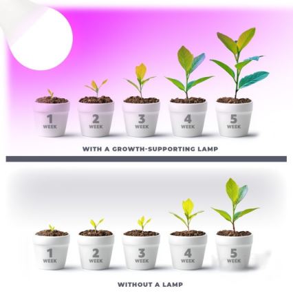 LED Spuldze stādu audzēšanai PLANTY E27/11W/230V 1200K balta