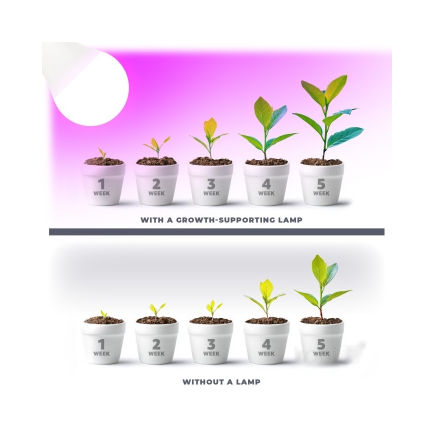LED Spuldze stādu audzēšanai PLANTY E27/11W/230V 1200K balta