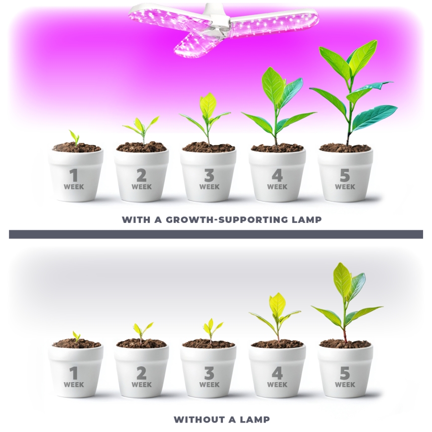 LED Spuldze stādu audzēšanai PLANTY E27/24W/230V 1200K