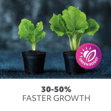 LED Spuldze stādu audzēšanai PLANTY E27/24W/230V 1200K