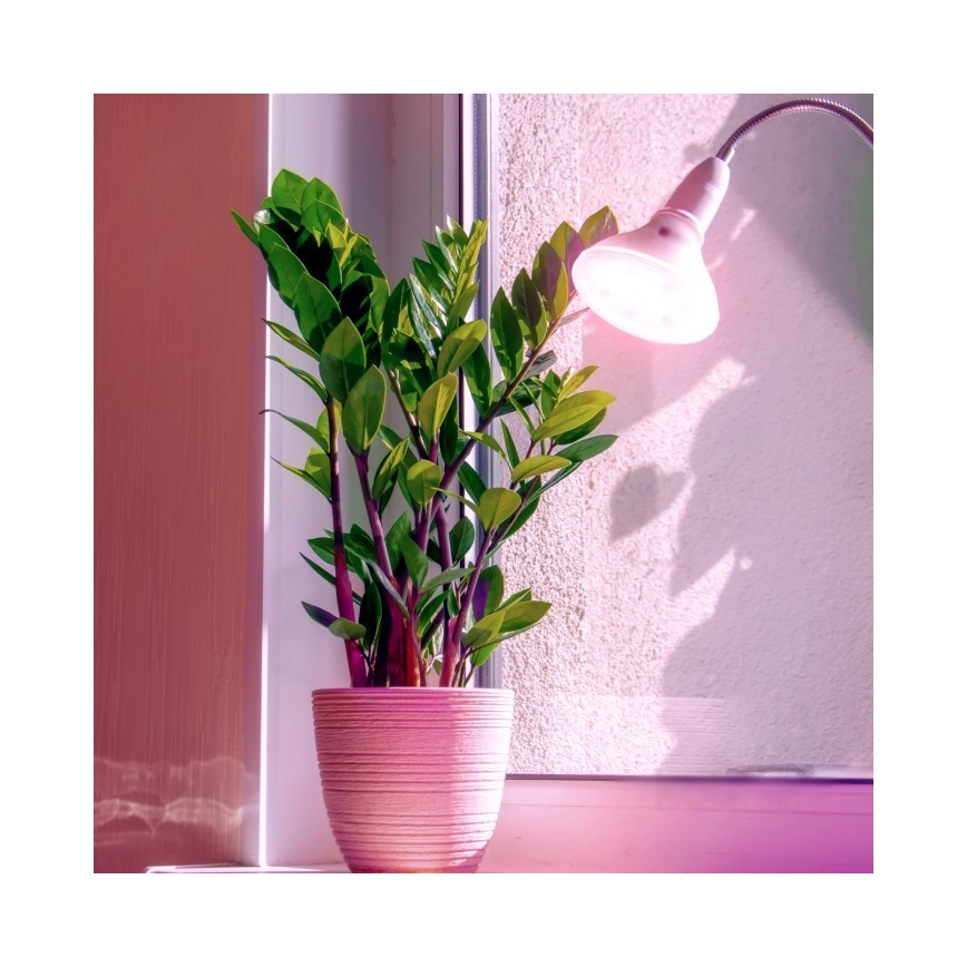LED Spuldze stādu audzēšanai PLANTY E27/7W/230V 1200K balta
