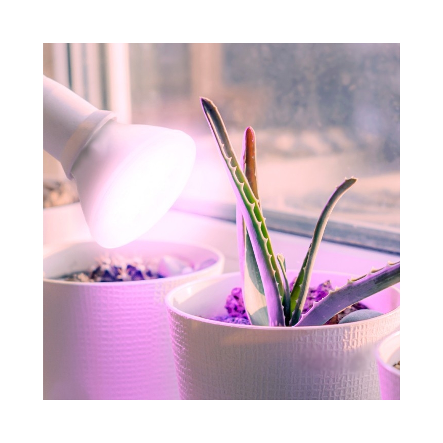 LED Spuldze stādu audzēšanai PLANTY E27/7W/230V 1200K balta