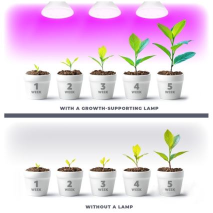 LED Spuldze stādu audzēšanai PLANTY E27/7W/230V 1200K balta