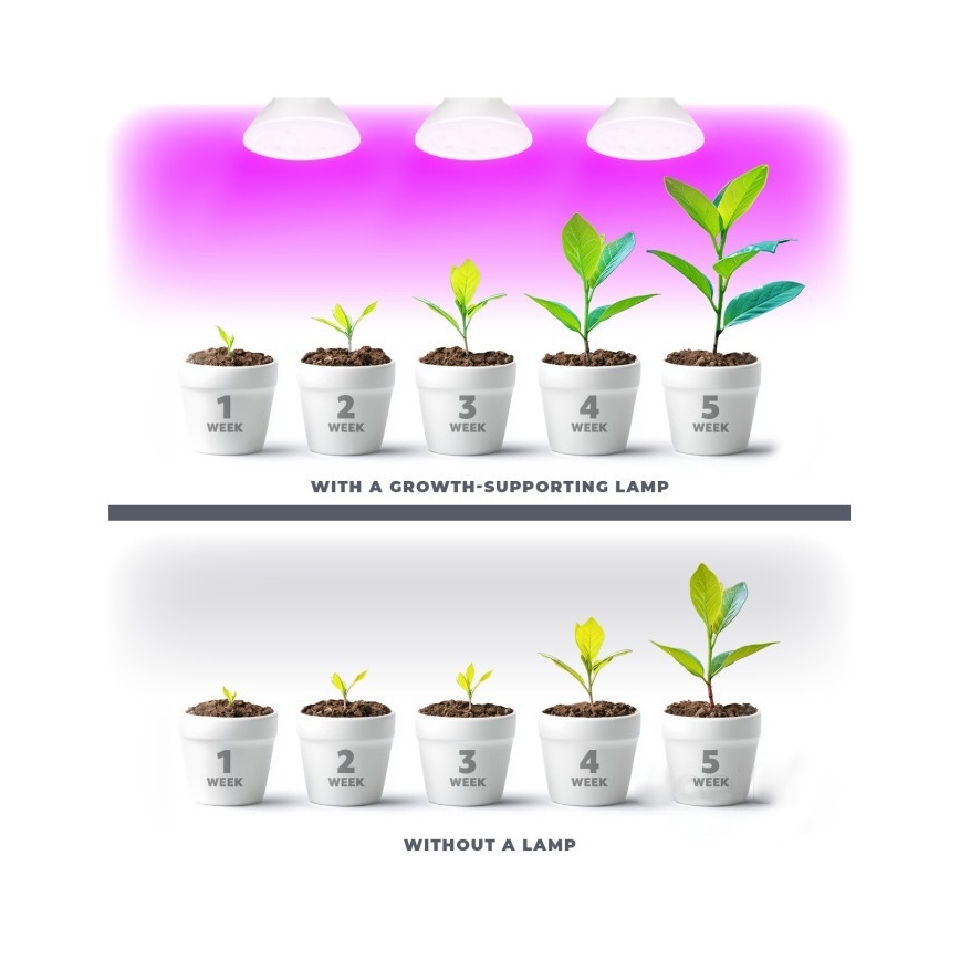 LED Spuldze stādu audzēšanai PLANTY E27/7W/230V 1200K balta