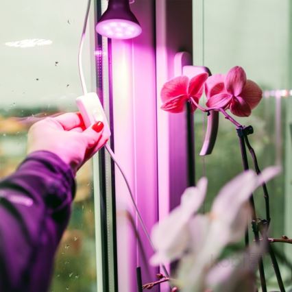 LED Spuldze stādu audzēšanai PLANTY E27/7W/230V 1200K melna