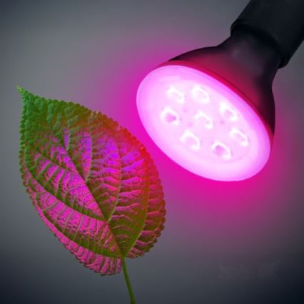 LED Spuldze stādu audzēšanai PLANTY E27/7W/230V 1200K melna