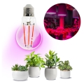 LED Spuldze stādu audzēšanai PLANTY E27/8W/230V 1200K
