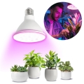 LED Spuldze stādu audzēšanai PLANTY E27/9W/230V 1200K balta