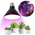 LED Spuldze stādu audzēšanai PLANTY E27/9W/230V 1200K melna