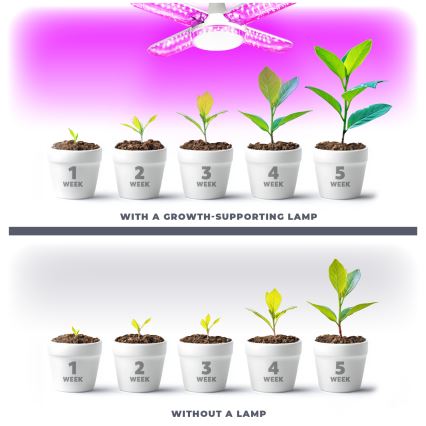 LED Spuldze stādu audzēšanai VITABLOOM E27/40W/230V 1200K - Brilagi
