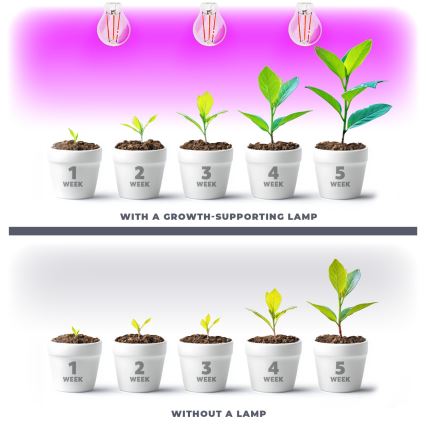 LED Spuldze stādu audzēšanai VITABLOOM E27/8W/230V 1200K - Brilagi