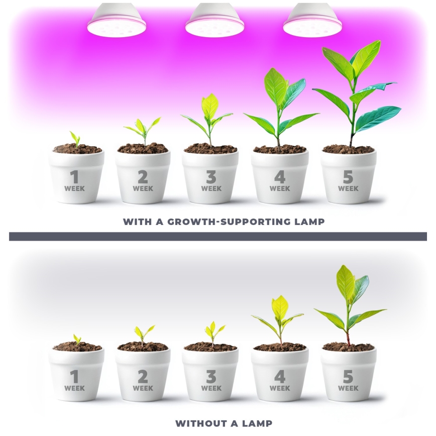 LED Spuldze stādu audzēšanai VITABLOOM E27/9W/230V 1200K balta - Brilagi
