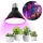 LED Spuldze stādu audzēšanai VITABLOOM E27/9W/230V 1200K melna - Brilagi