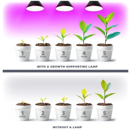 LED Spuldze stādu audzēšanai VITABLOOM E27/9W/230V 1200K melna - Brilagi