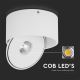 LED Elastīgs Starmetis LED/20W/230V 3000/4000/6400K CRI 90 balta