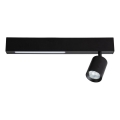 LED Starmetis MAGNET LED/5W/230V + 1xGU10/60W 3000/4000K melna