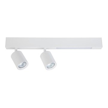 LED Starmetis MAGNET LED/5W/230V + 2xGU10/60W 3000/4000K balta