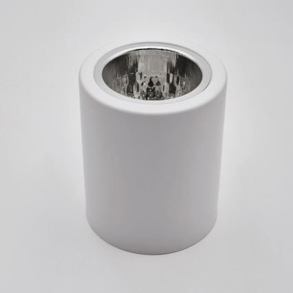 LED Starmetis TACO 1xE27/15W/230V balta