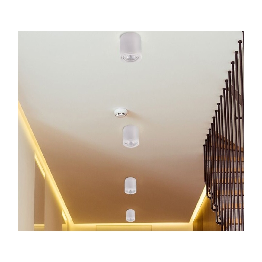 LED Starmetis TUBA 1xGU10/5W/230V 4000K balts