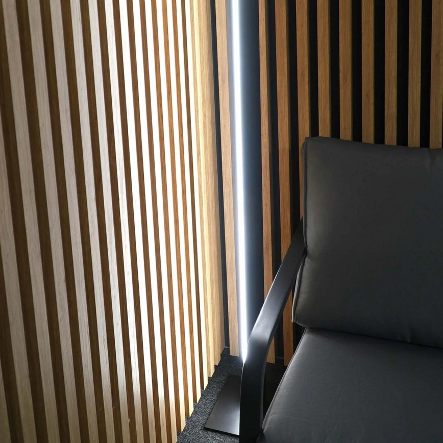 LED stāvlampa BERNADETTA LED/28W/230V 4000K melna