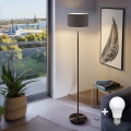 LED stāvlampa TUNJA 1xE27/20W/230V Ø 30 cm melna/brūna