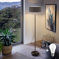 LED stāvlampa TUNJA 1xE27/20W/230V Ø 38 cm melna/brūna