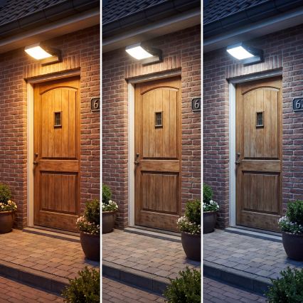 Dimējams LED āra sienas gaismeklis LED/12/18/24W/230V 3000/4000/6500K IP54 melns
