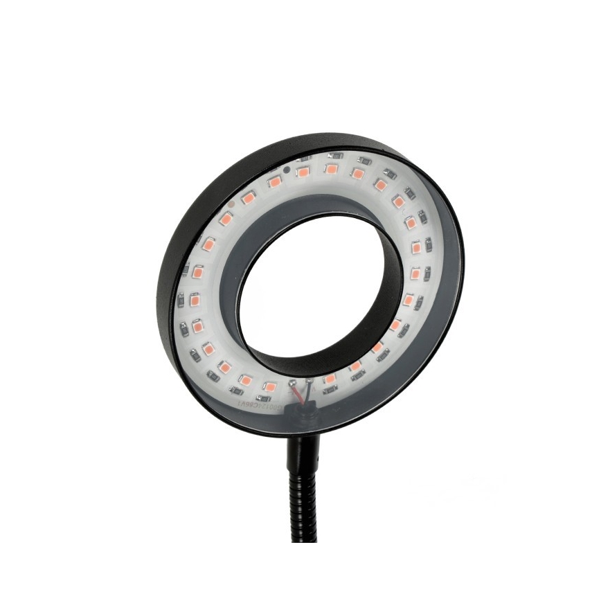 LED regulējama elastīga galda lampa ar skavu augu audzēšanai VITARO 2xLED/4W/230V melna