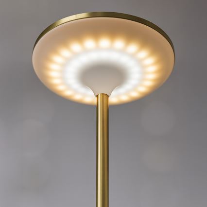 LED uzlādējama galda lampa ar skārienkontroli TAVOLO LED/2,5W/5V 2400 mAh 3000-6000K zelta
