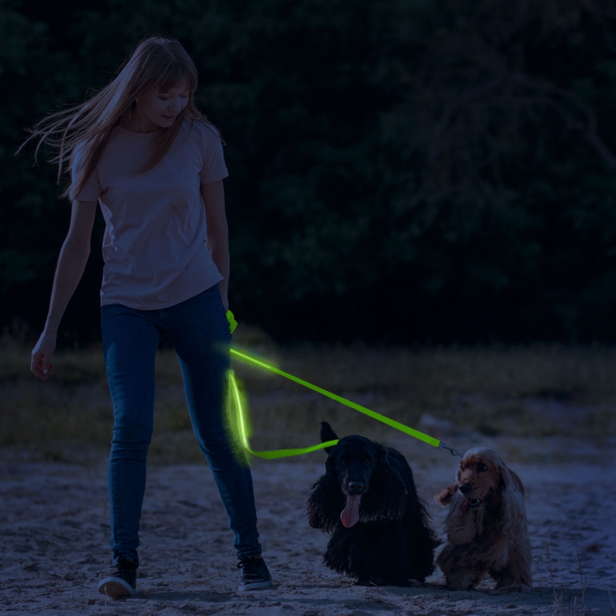 LED Uzlādējama pavada 120 cm 2xCR2032/5V/40 mAh zaļa