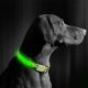 LED Uzlādējama suņu kakla sikna 45-52 cm 1xCR2032/5V/40 mAh zaļa