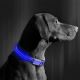 LED Uzlādējama suņu kakla siksna 40-48 cm 1xCR2032/5V/40 mAh zila