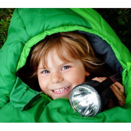 LED uzlādējams lukturis LED/5V 500 lm 1200 mAh melns