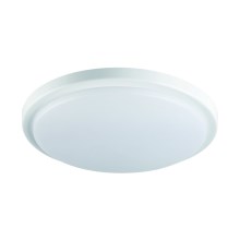 LED Vannas istabas griestu gaismeklis ORTE LED/18W/230V IP54