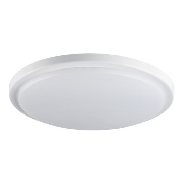 LED Vannas istabas griestu gaismeklis ORTE LED/24W/230V IP54