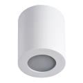 LED Vannas istabas griestu gaismeklis SANI 1xGU10/10W/230V IP44 balts