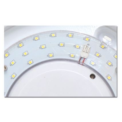 LED vannas istabas griestu gaismeklis VICTOR LED/18W/230V IP44