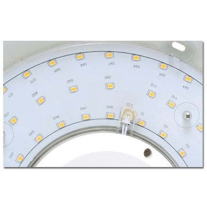 LED Vannas istabas griestu gaismeklis VICTOR LED/25W/230V IP44