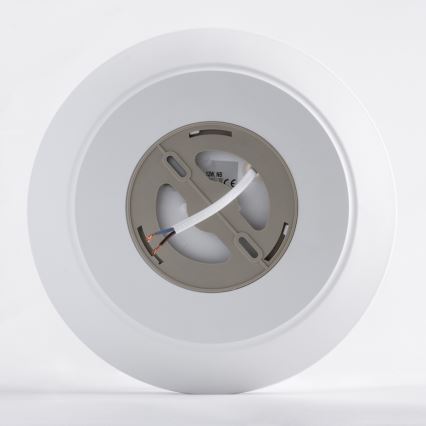 LED Vannas istabas griestu lampa ar sensoru AVESTA LED/12W/230V 4000K IP54