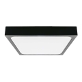 LED Vannas istabas griestu lampa ar sensoru LED/18W/230V 4000K IP44 22,5x22,5 cm melna