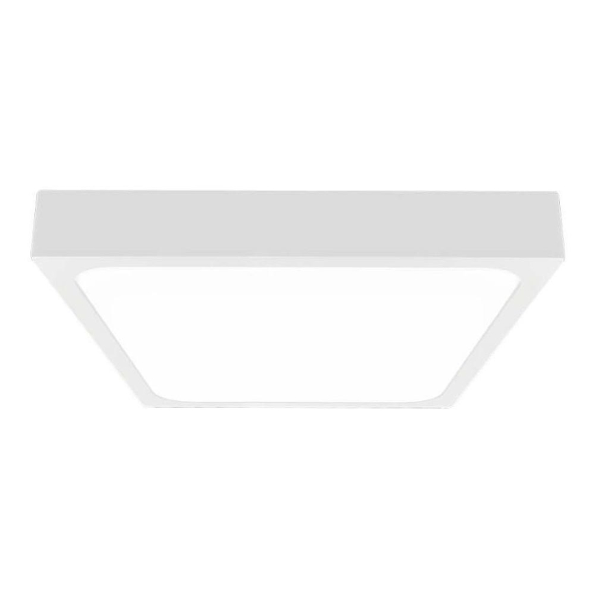 LED Vannas istabas griestu lampa ar sensoru LED/24W/230V 4000K IP44 29,5x29,5 cm balta